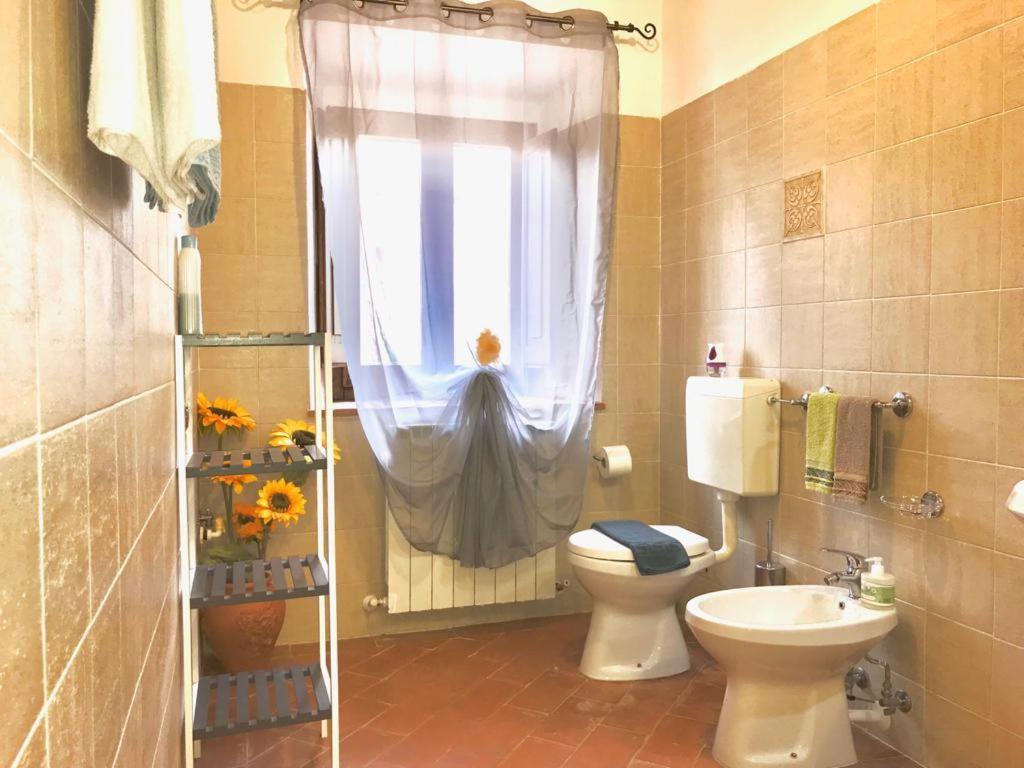 Agriturismo Podere Casano Радикофани Екстериор снимка